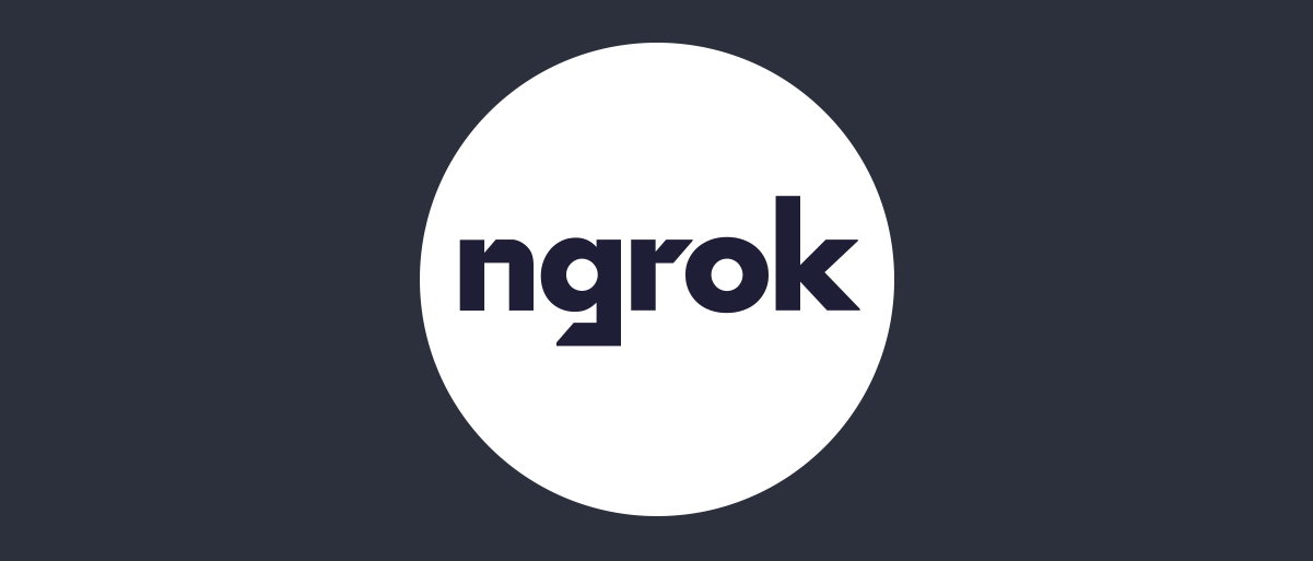 ngrok-website-plc